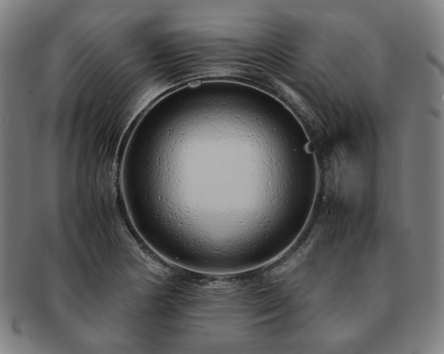 X0000091451178200708231248