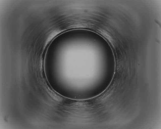 X0000091451179200708231248