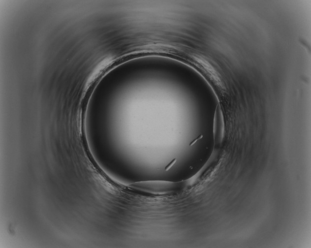 X0000091451180200708231248