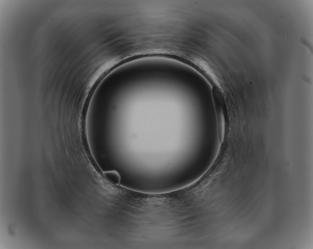 X0000091451181200708231248