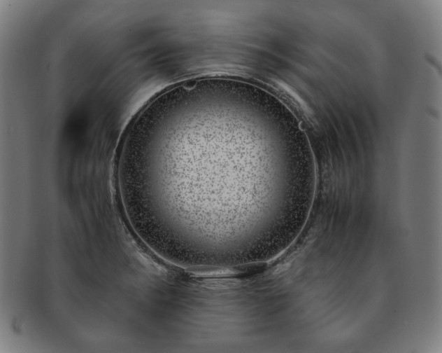X0000091451182200708231248