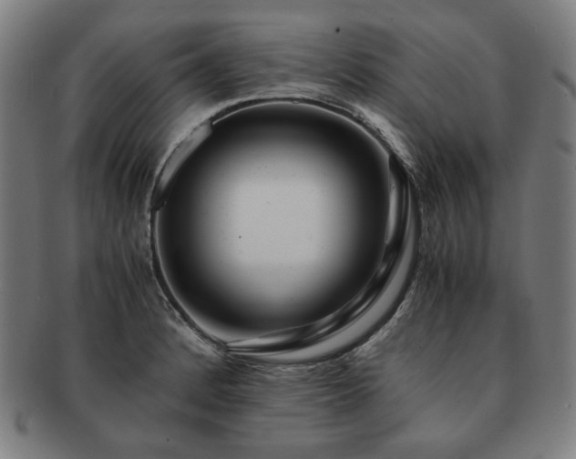 X0000091451184200708231248