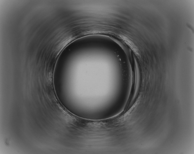 X0000091451185200708231248