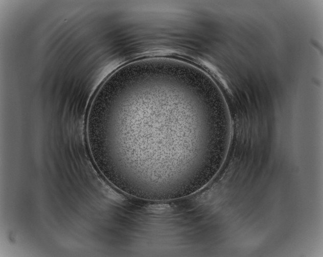 X0000091451186200708231248