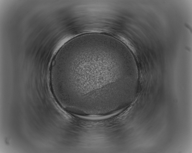X0000091451187200708231248