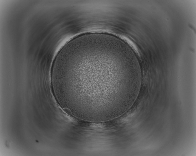 X0000091451191200708231248