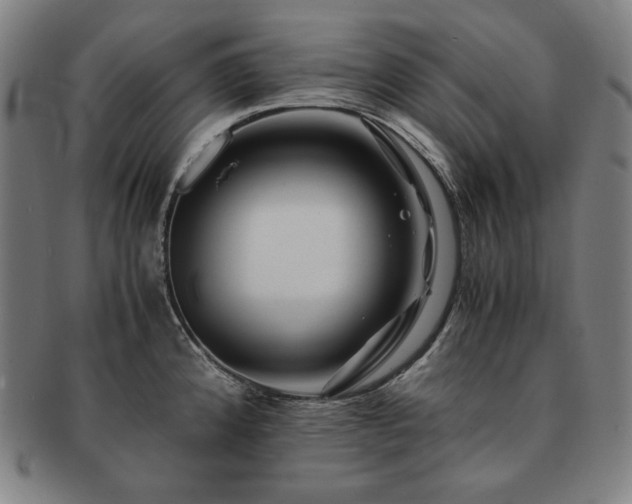 X0000091451192200708231248