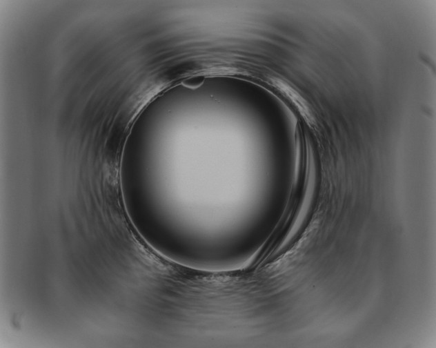 X0000091451193200708231248