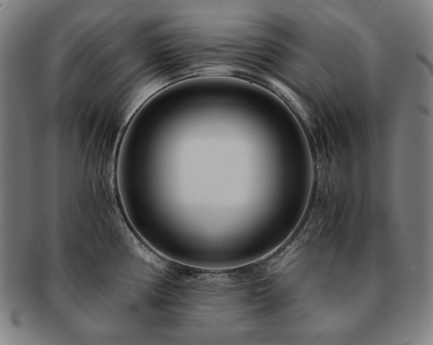X0000091451194200708231248