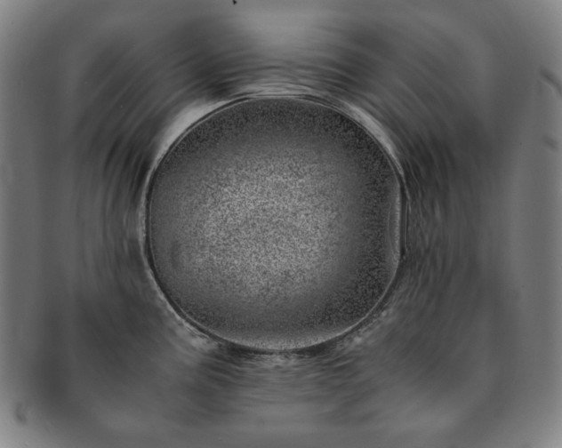 X0000091451195200708231248