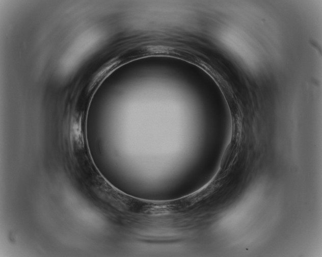 X0000091451198200708231248