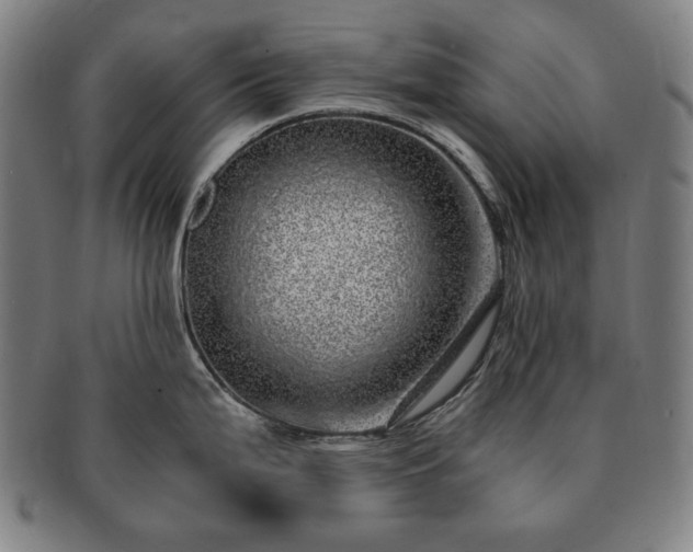 X0000091451199200708231248