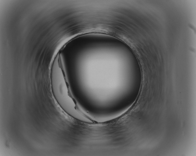 X0000091451200200708231248