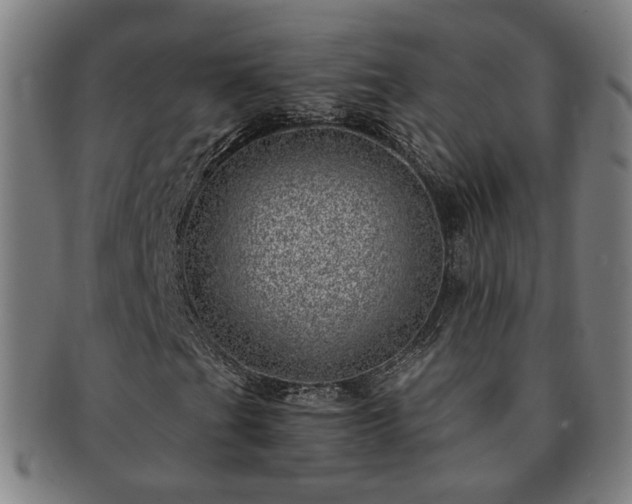 X0000091451201200708231247