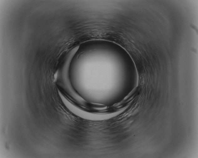 X0000091451202200708231247