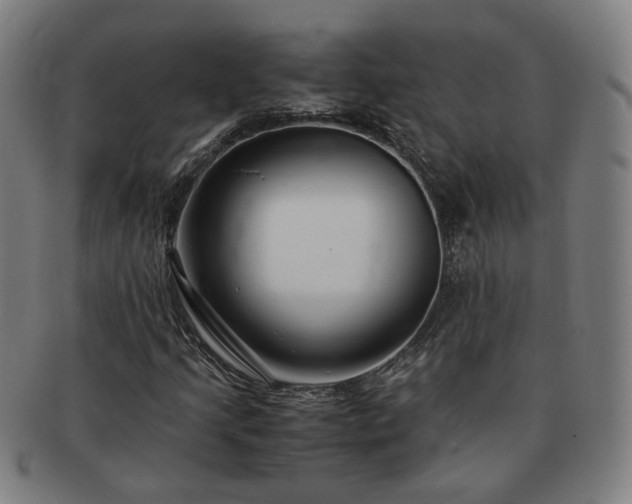 X0000091451205200708231247