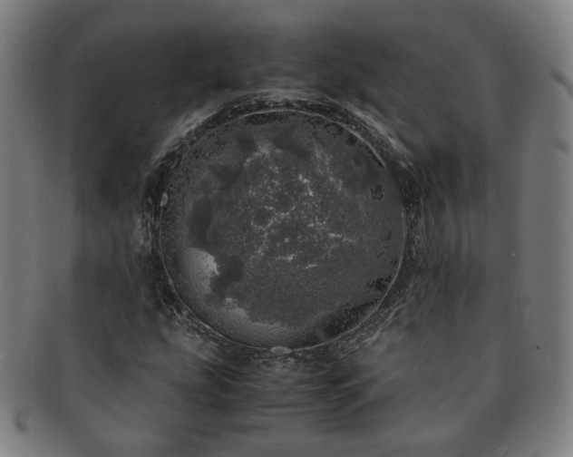 X0000091451207200708231247