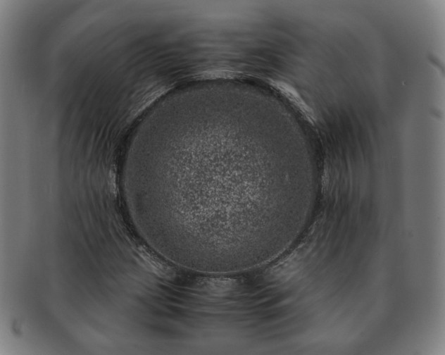 X0000091451209200708231248