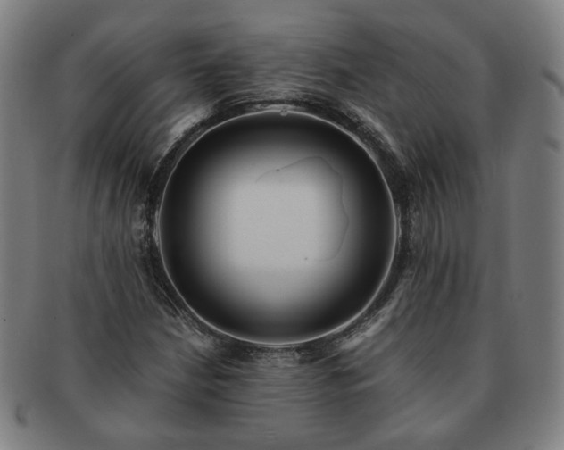 X0000091451210200708231248