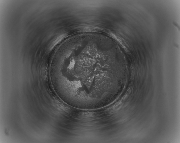 X0000091451211200708231248