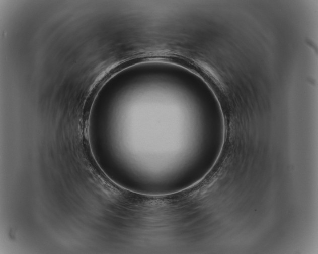 X0000091451212200708231248
