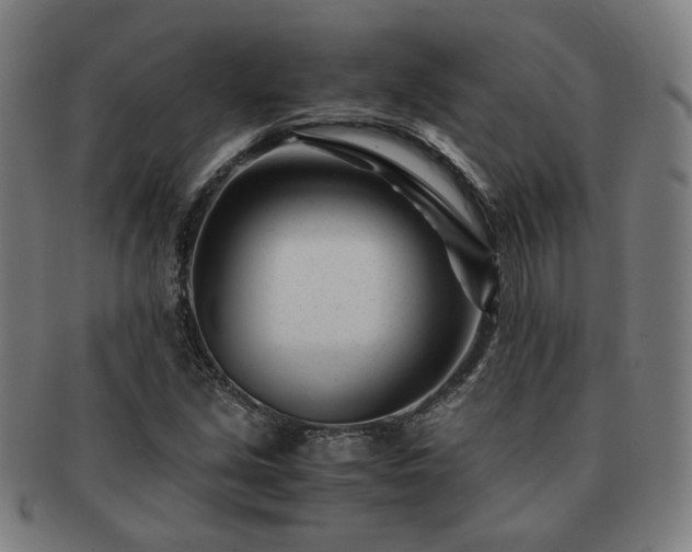 X0000091451213200708231248