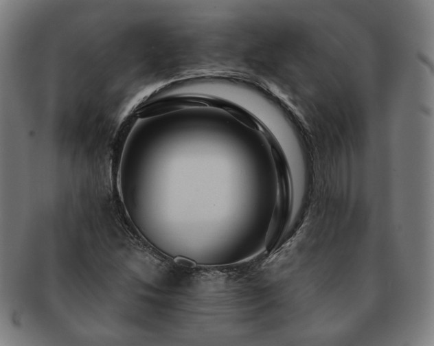 X0000091451214200708231248