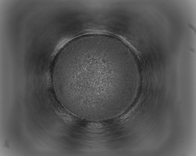 X0000091451215200708231248