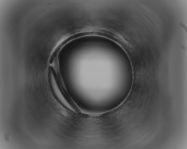 X0000091451216200708231248