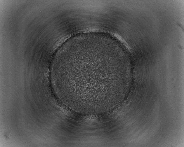 X0000091451217200708231248