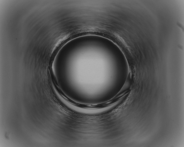 X0000091451218200708231248