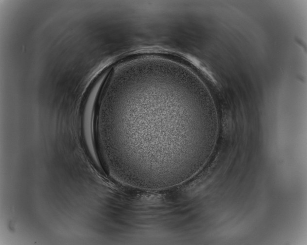 X0000091451221200708231248