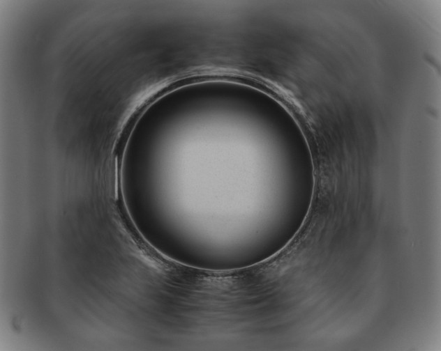 X0000091451223200708231248