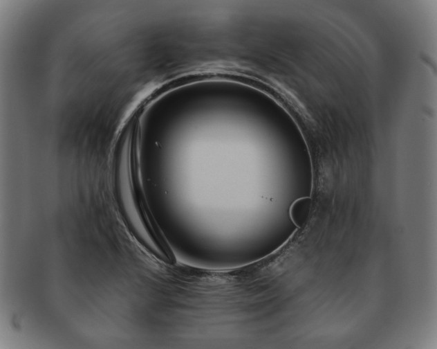 X0000091451224200708231248