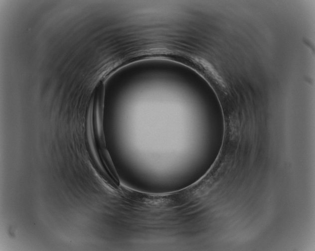 X0000091451225200708231248