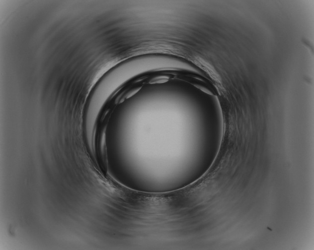 X0000091451226200708231248
