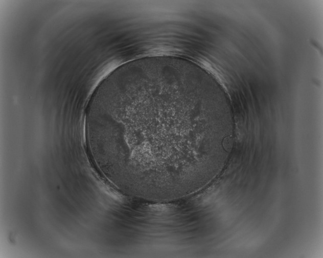 X0000091451227200708231248