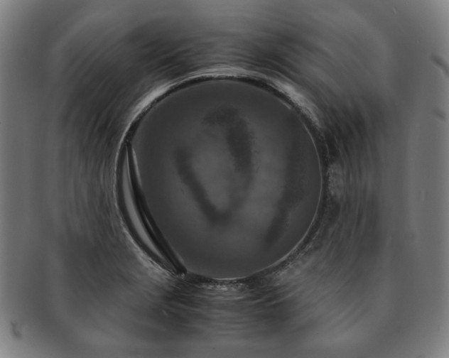 X0000091451229200708231248