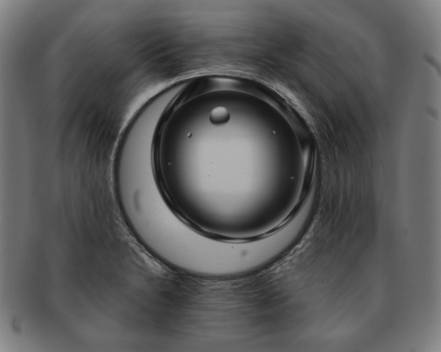 X0000091451230200708231248