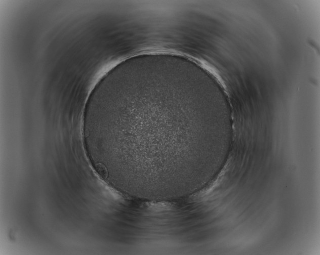 X0000091451231200708231248