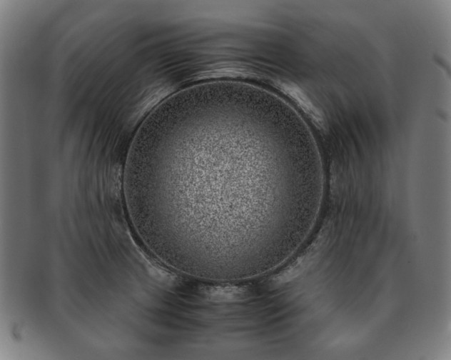 X0000091451233200708231248