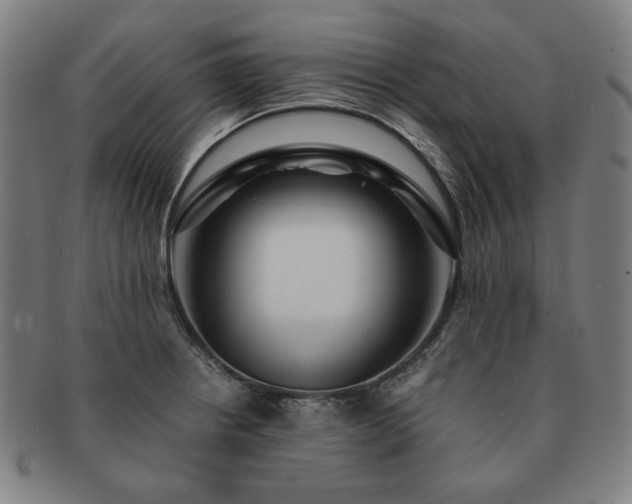 X0000091451234200708231248