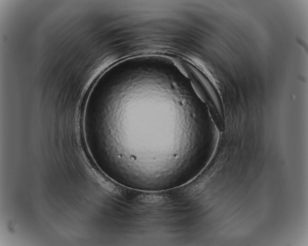 X0000091451235200708231248