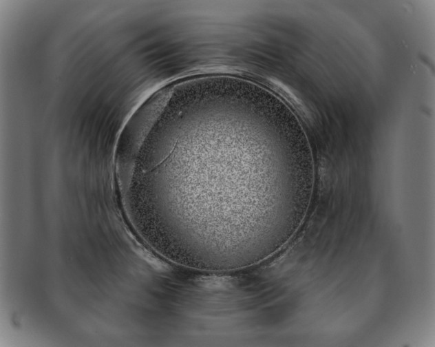 X0000091451236200708231248