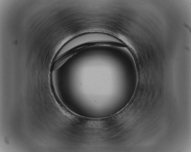 X0000091451237200708231248
