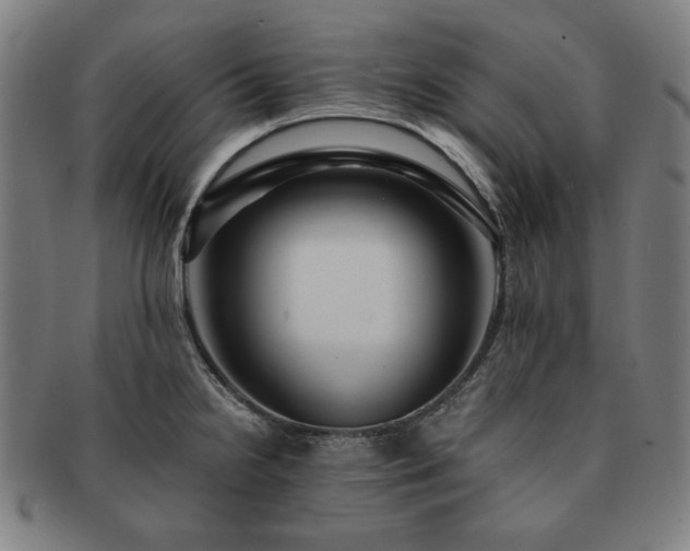 X0000091451238200708231248