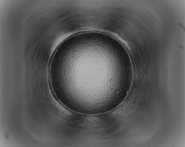 X0000091451239200708231248