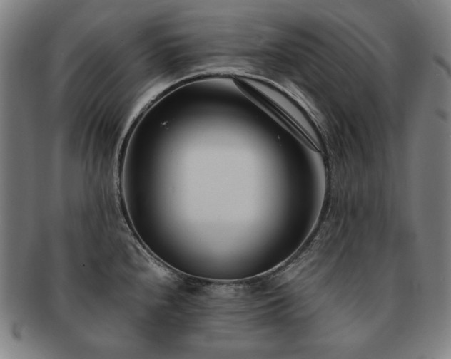 X0000091451240200708231248