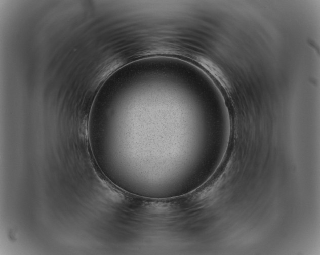 X0000091451241200708231248
