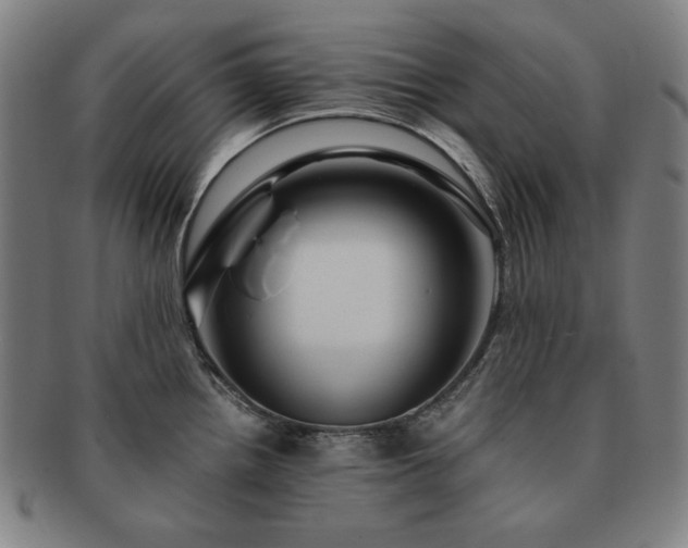 X0000091451242200708231248
